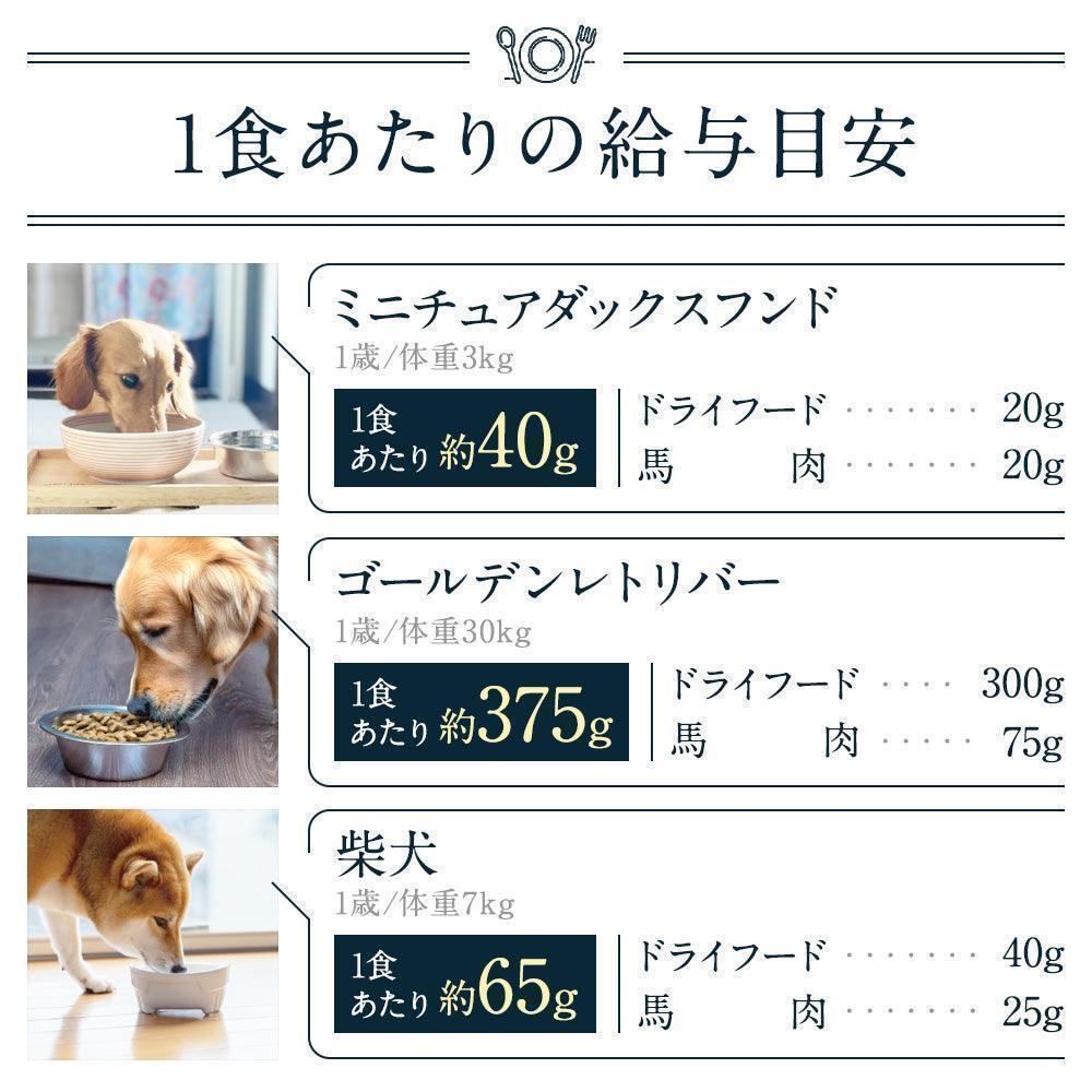 【定期便】加熱用馬肉(純国産/50g) 8シート×2set(特典付き)