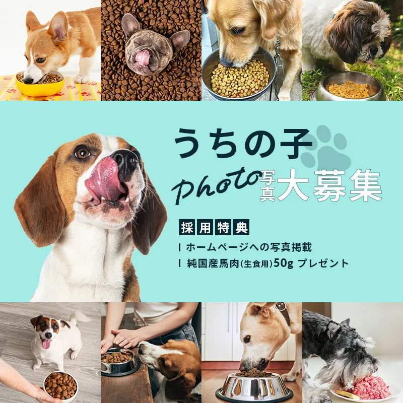 写真投稿キャンペーン